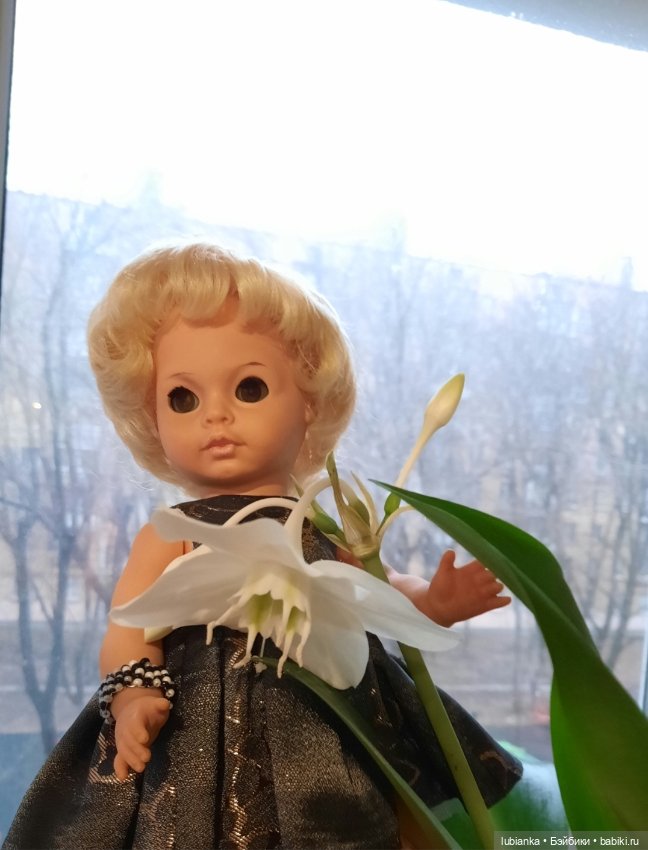 Порядковый номер 7💛🤎🧡❤💜💙💚