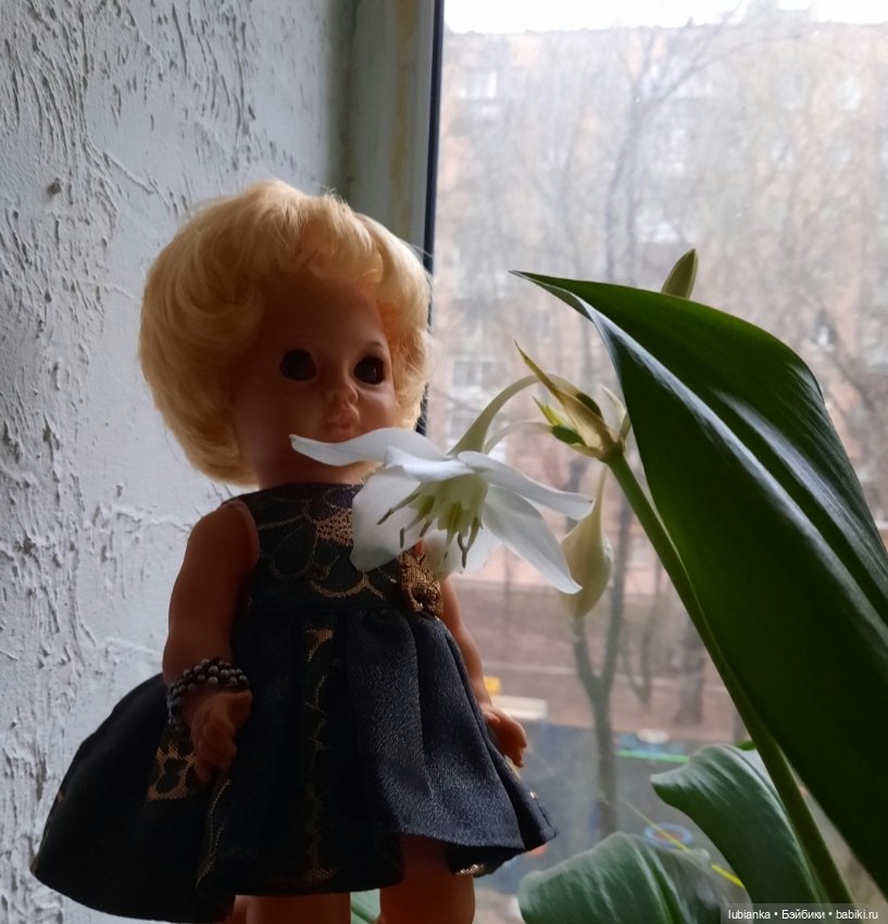 Порядковый номер 7💛🤎🧡❤💜💙💚