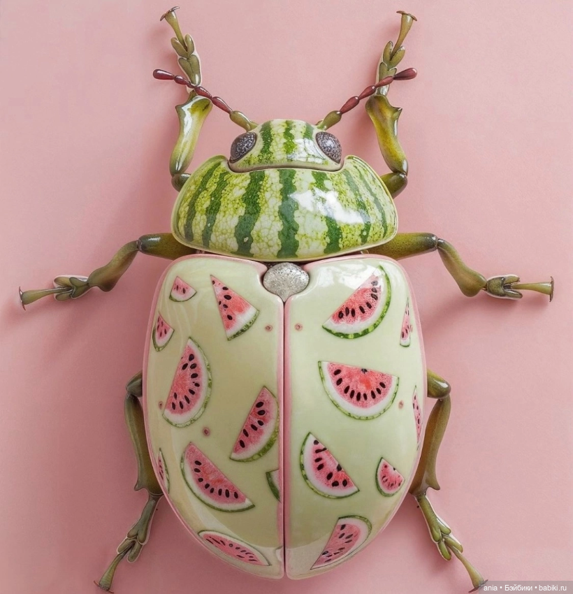 Работы Charlotte de Jongh (фото 3)