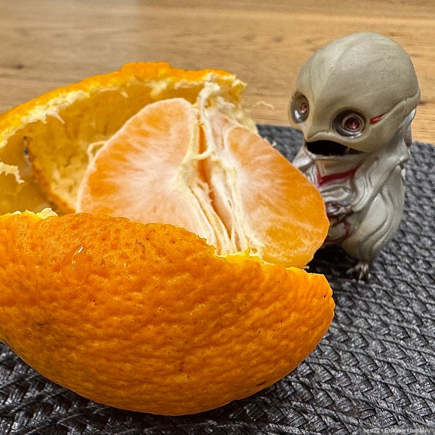 Птица Ворчун — Коллекционные фигурки (разное): животные (фото 5)