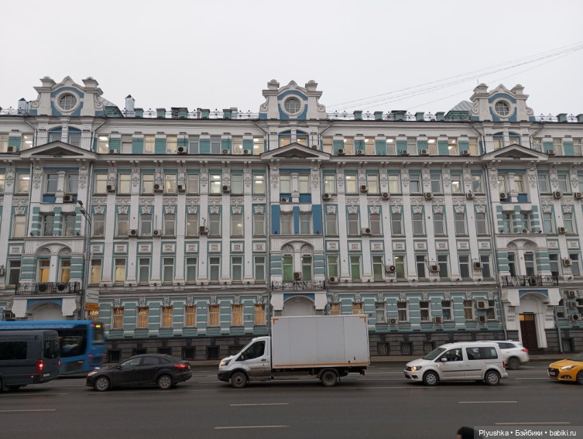 Камелия, Аптекарский огород и январские подснежники (фото 6)