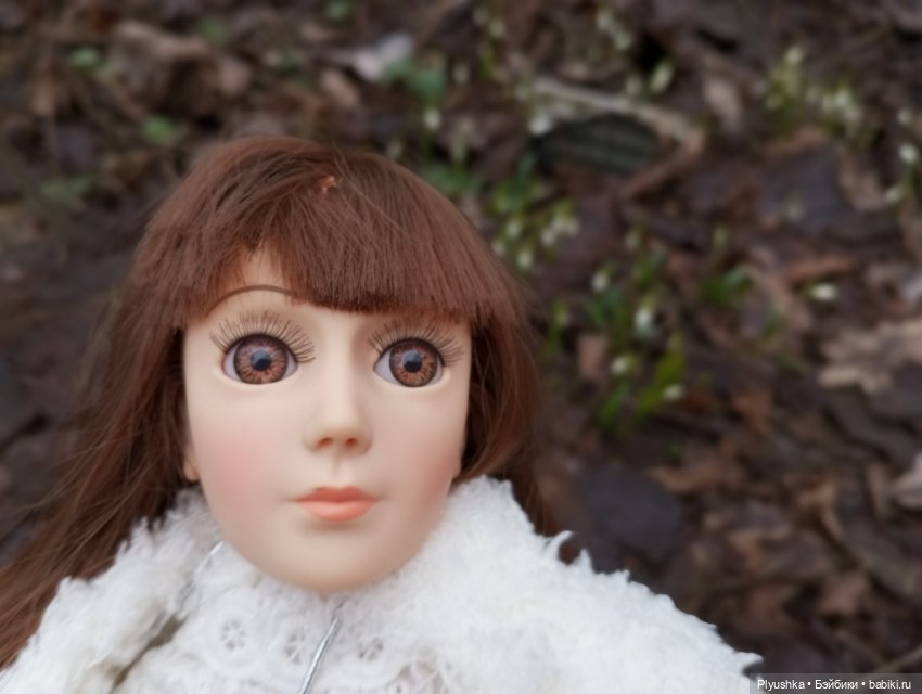 Камелия, Аптекарский огород и январские подснежники