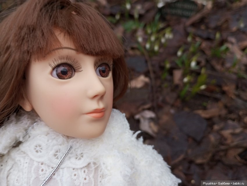 Камелия, Аптекарский огород и январские подснежники