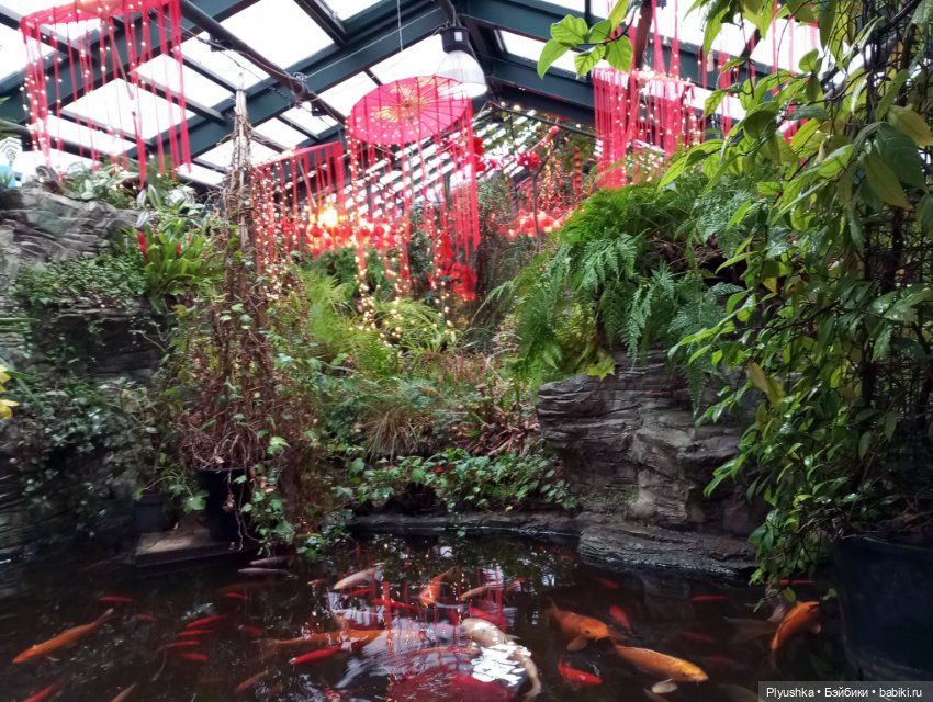 Китайский Новый год с Блу и Ви