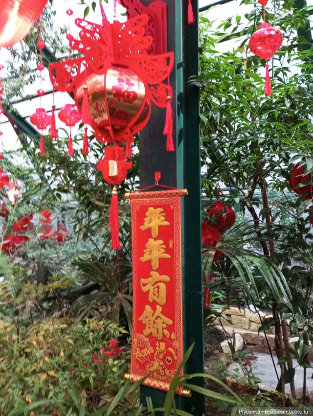 Китайский Новый год с Блу и Ви (фото 7)