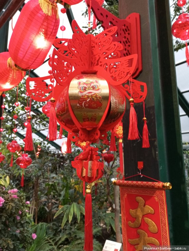 Китайский Новый год с Блу и Ви (фото 9)