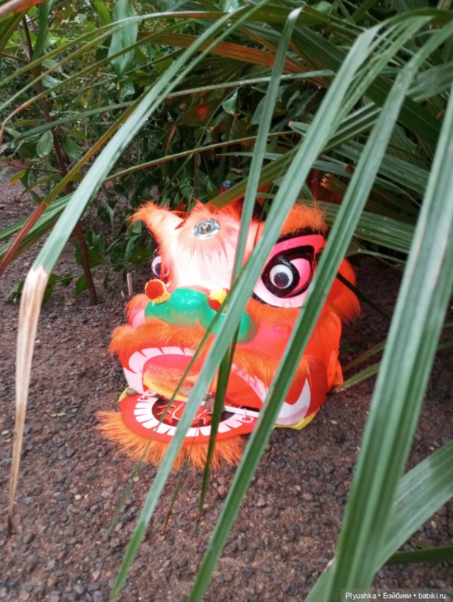 Китайский Новый год с Блу и Ви