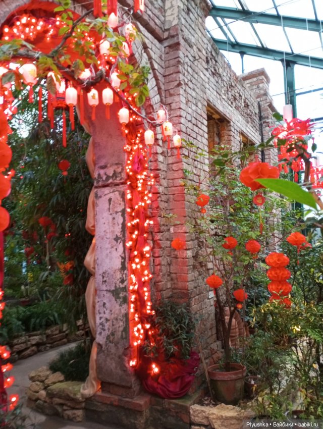 Китайский Новый год с Блу и Ви