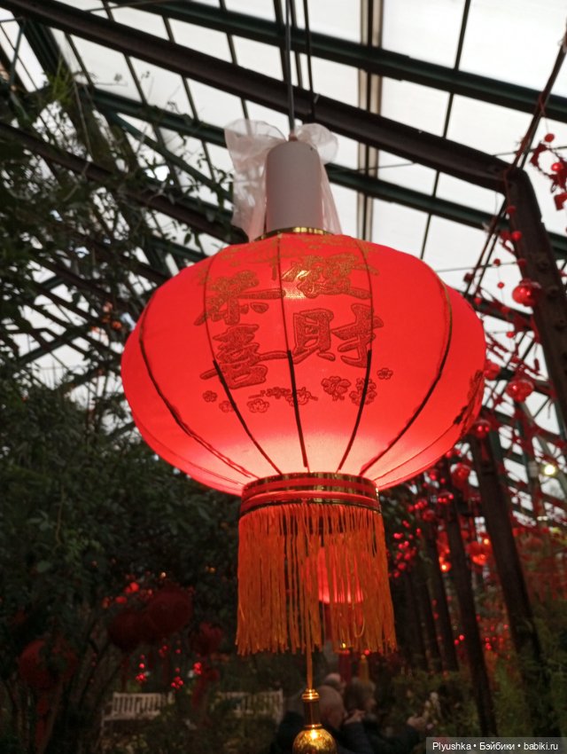 Китайский Новый год с Блу и Ви