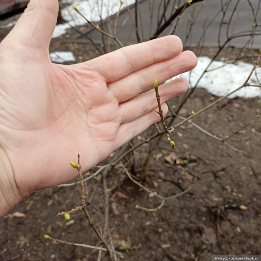 Унылая пора...и это не осень (фото 8)