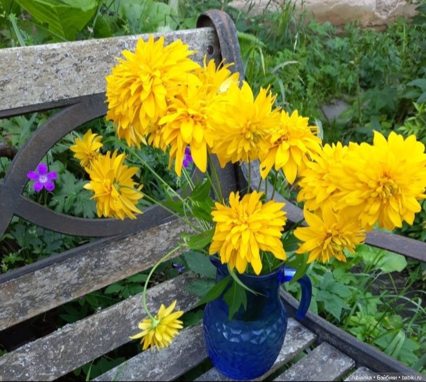 "...за окнами август..."🌾🌻