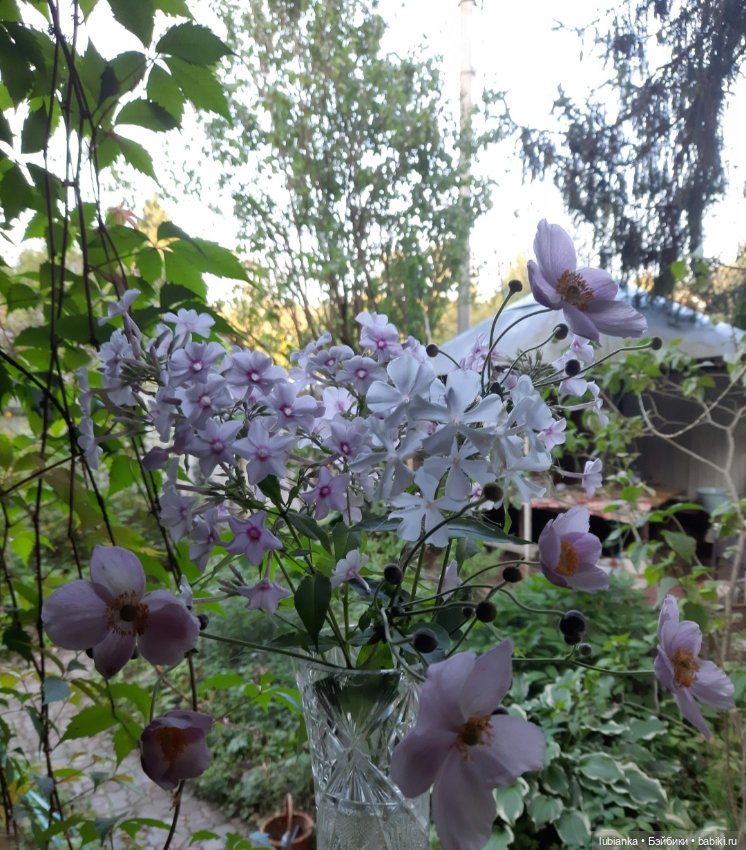"...за окнами август..."🌾🌻