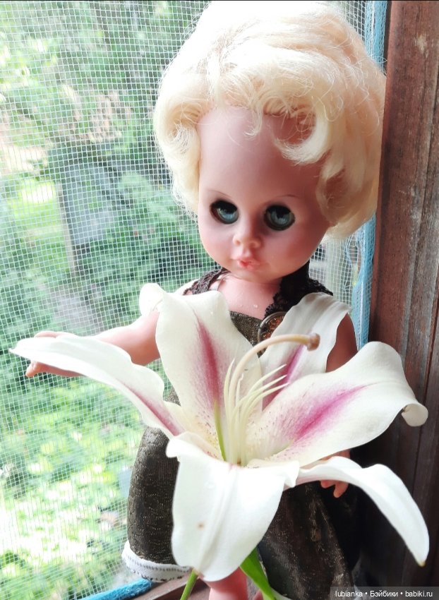 "...за окнами август..."🌾🌻 (фото 2)