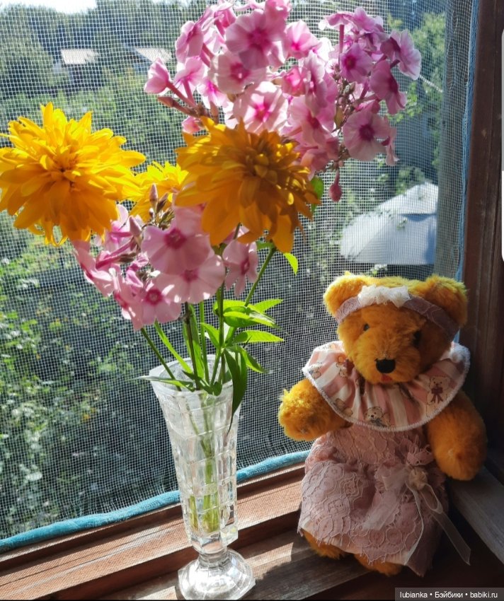 "...за окнами август..."🌾🌻