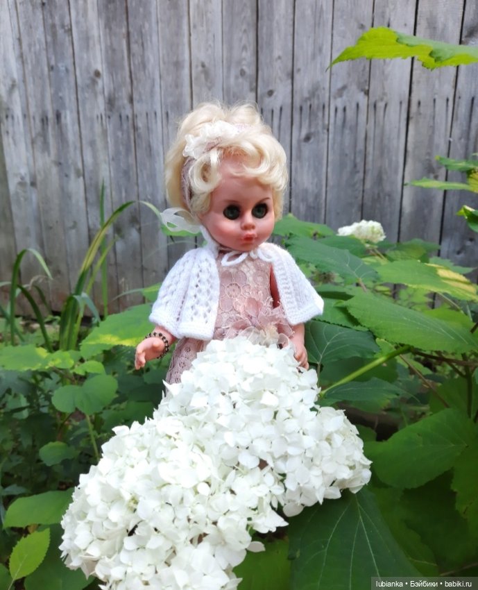 "...за окнами август..."🌾🌻 (фото 4)