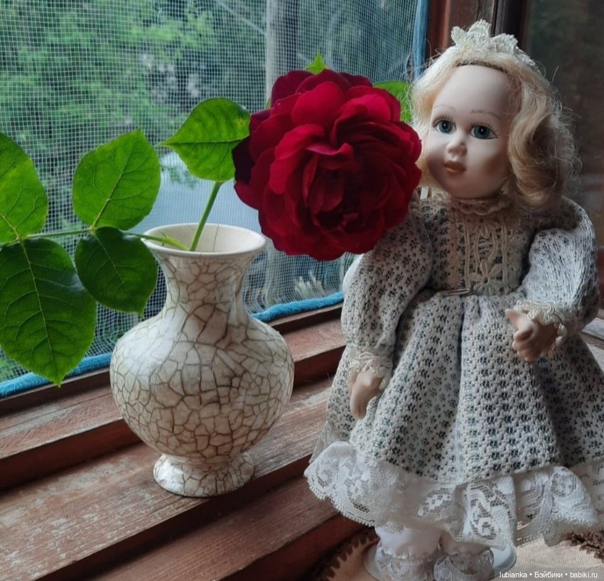 "...за окнами август..."🌾🌻