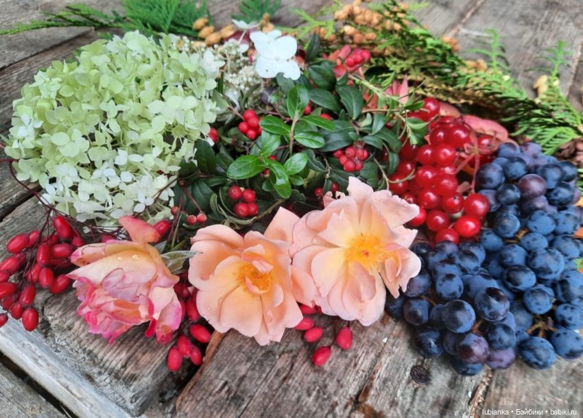 "...за окнами август..."🌾🌻