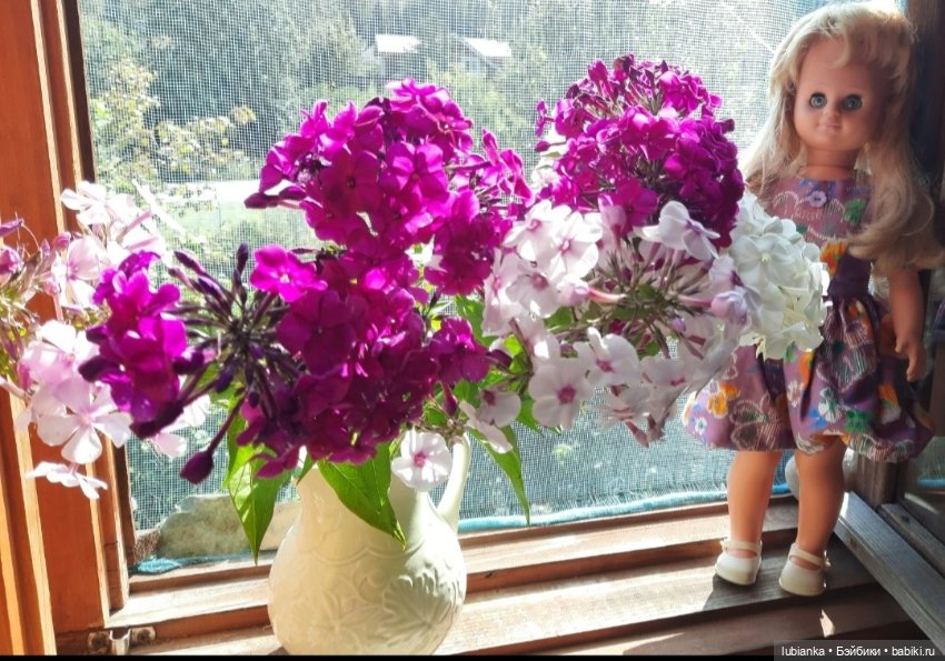 "...за окнами август..."🌾🌻