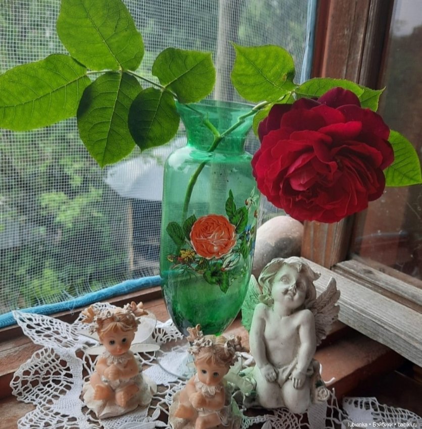 "...за окнами август..."🌾🌻 (фото 9)