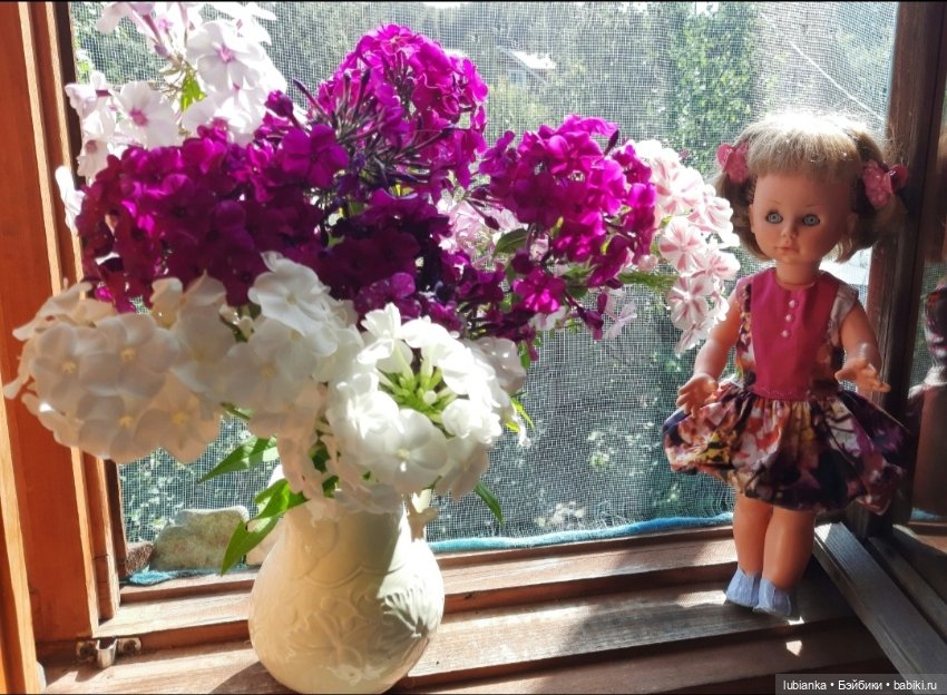 "...за окнами август..."🌾🌻