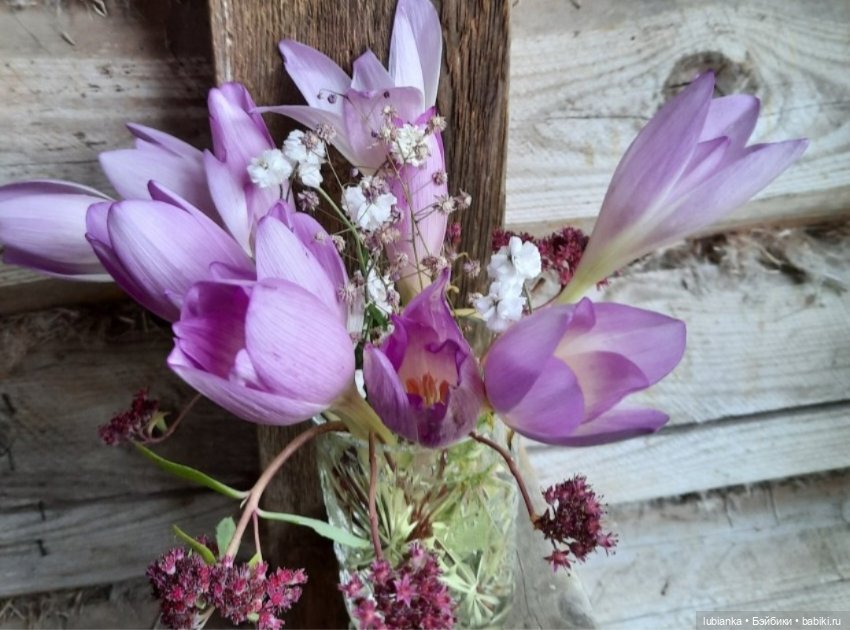 "...за окнами август..."🌾🌻