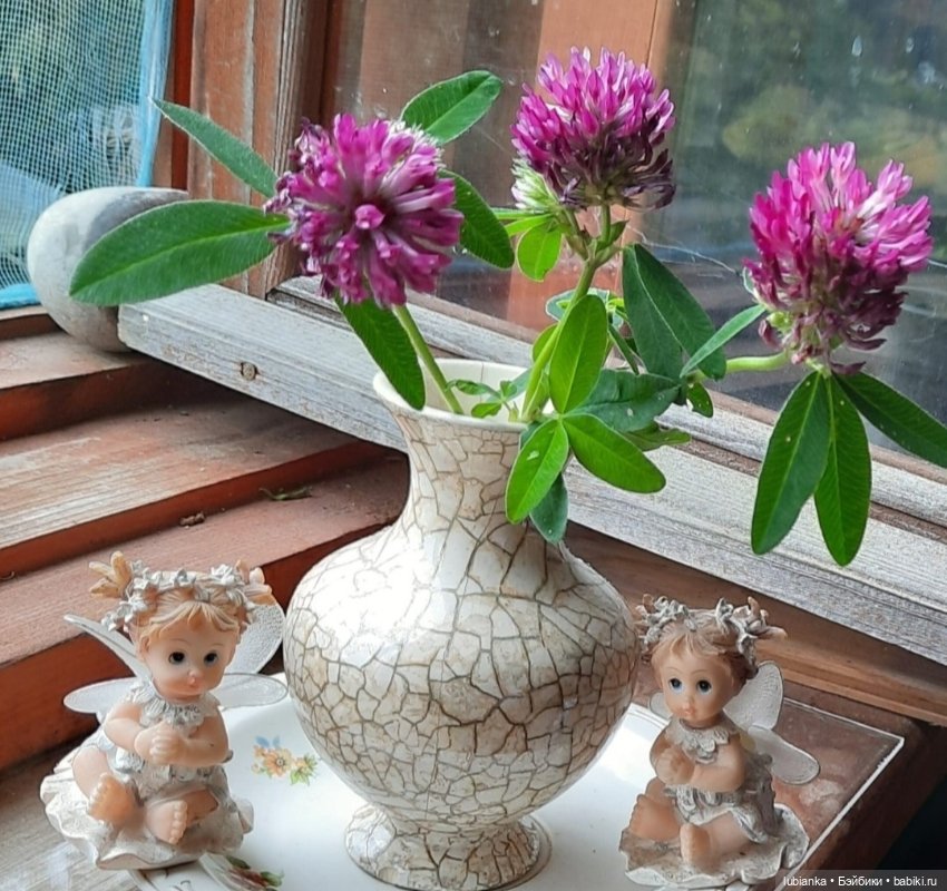 "...за окнами август..."🌾🌻