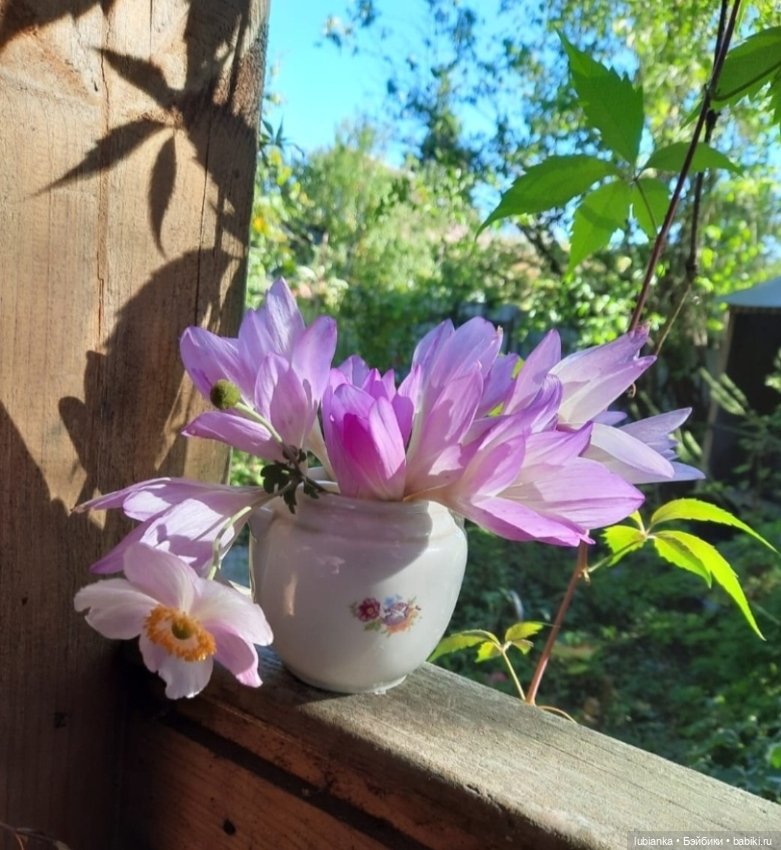 "...за окнами август..."🌾🌻