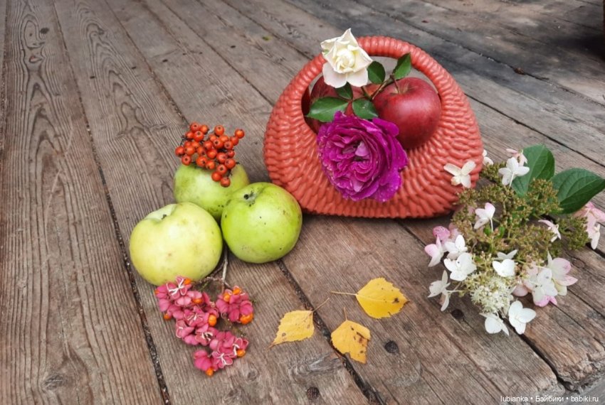 "...за окнами август..."🌾🌻