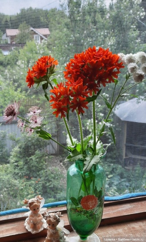 "...за окнами август..."🌾🌻