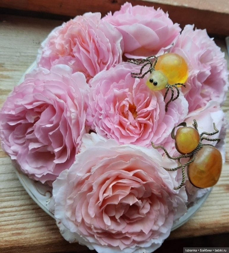 "...за окнами август..."🌾🌻