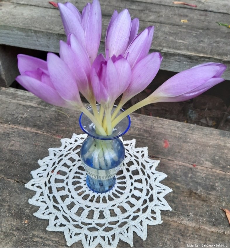 "...за окнами август..."🌾🌻