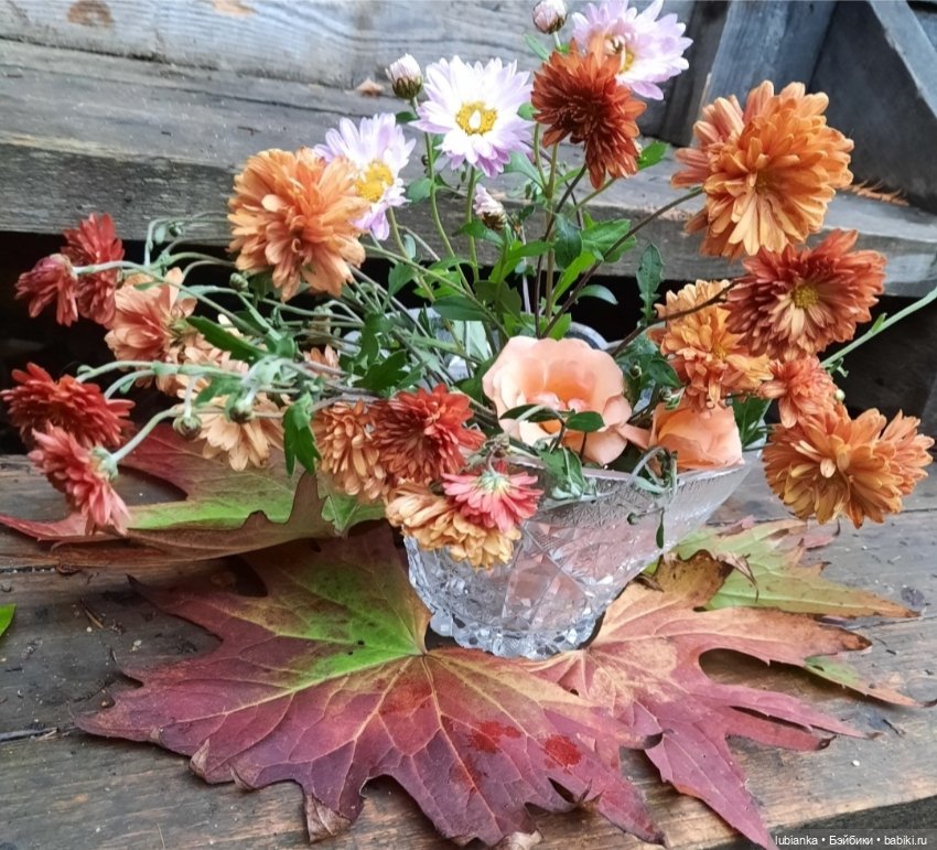 "...за окнами август..."🌾🌻