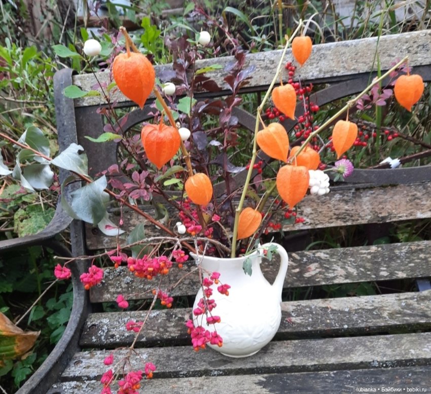 "...за окнами август..."🌾🌻