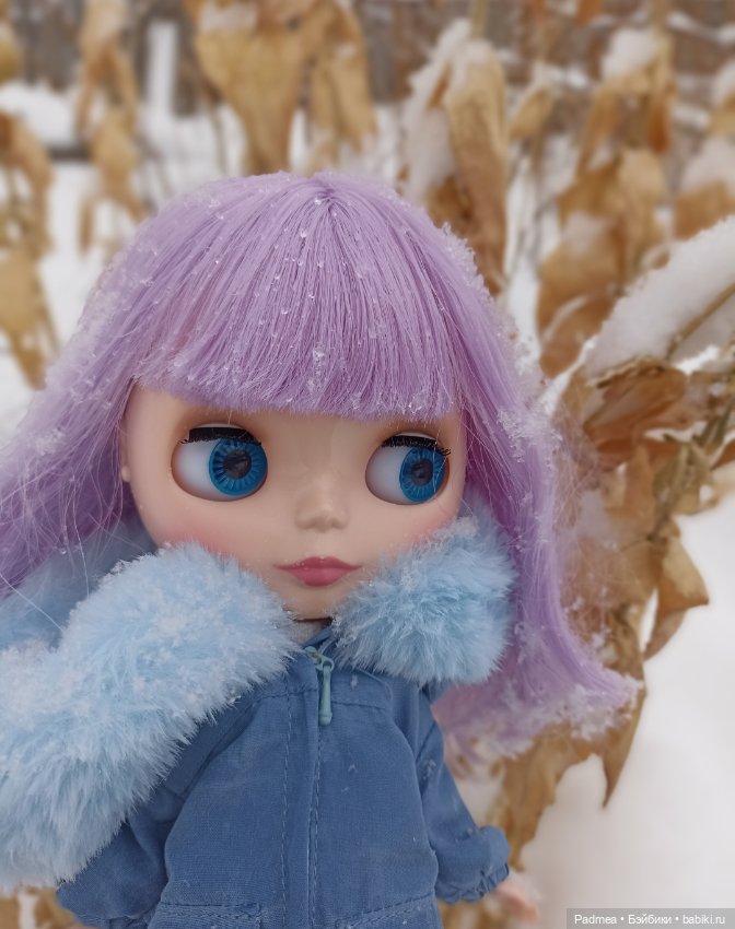 А у нас зима — Оригинальные куклы Blythe (Блайз): Takara