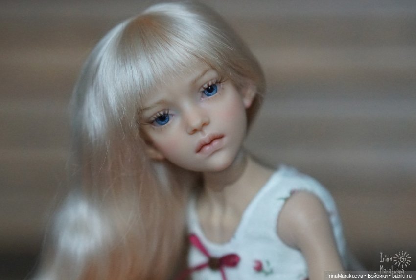 Иден и гусь-обнимусь — Авторские куклы BJD (БЖД) у нас дома: фото (фото 5)