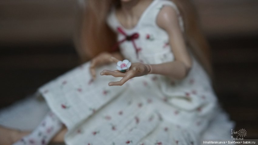 Иден и гусь-обнимусь — Авторские куклы BJD (БЖД) у нас дома: фото