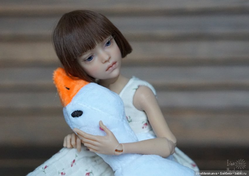 Иден и гусь-обнимусь — Авторские куклы BJD (БЖД) у нас дома: фото