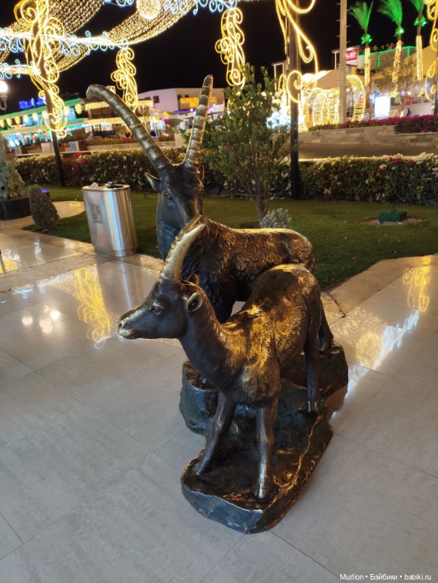 Старый Новый год в Египте. Часть 3 (фото 3)