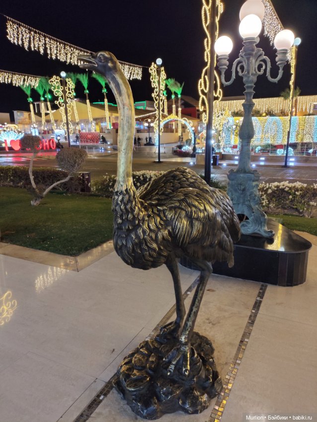 Старый Новый год в Египте. Часть 3 (фото 2)