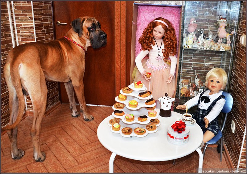 Ассорти. Часть 1 — Игровые куклы разных производителей (Разное): редкие бренды (фото 7)