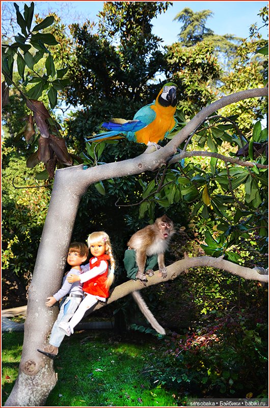 Ассорти. Часть 1 — Игровые куклы разных производителей (Разное): редкие бренды