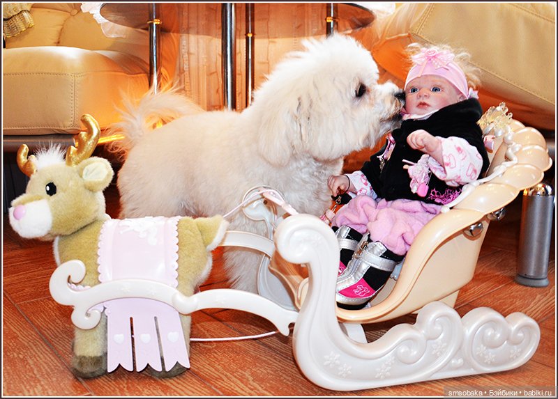 Ассорти. Часть 1 — Игровые куклы разных производителей (Разное): редкие бренды (фото 2)