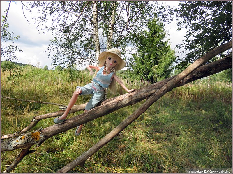 Ассорти. Часть 3 — Игровые куклы разных производителей (Разное): редкие бренды