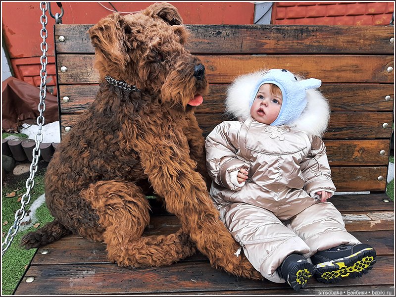 Ассорти. Часть 3 — Игровые куклы разных производителей (Разное): редкие бренды