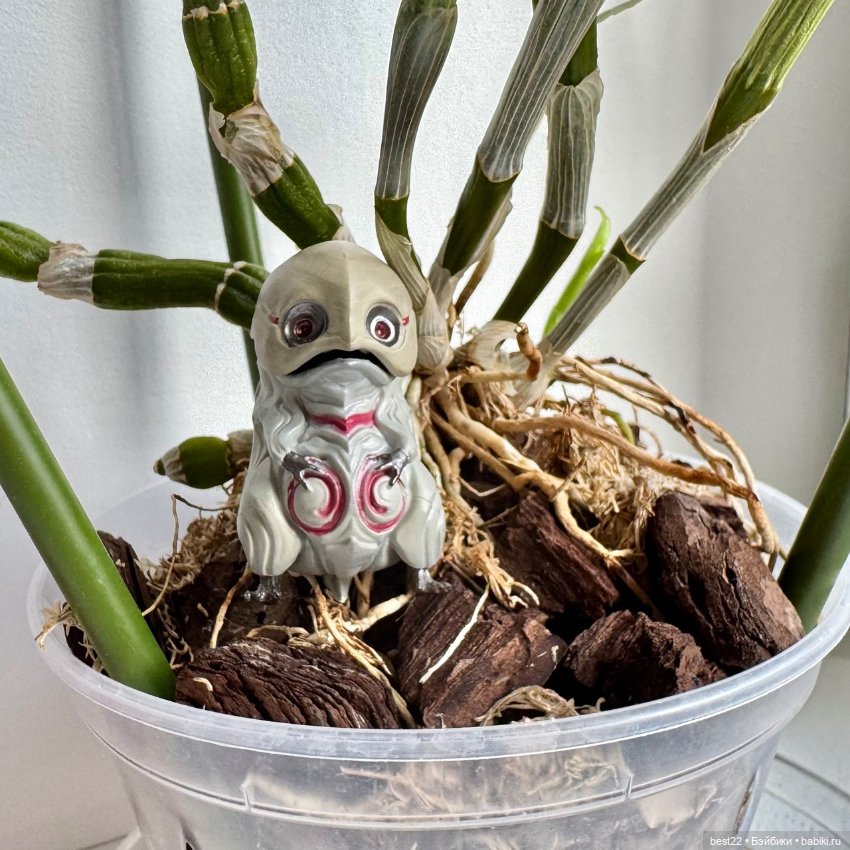 Птица Ворчун — Коллекционные фигурки (разное): животные