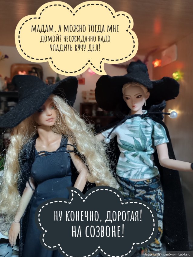 Ведьмолавка. Часть 24: переезд и неожиданная новость