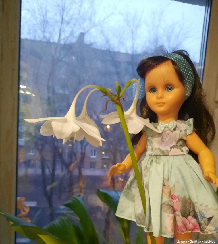 Эйлин...или простое человеческое кукольное счастье💙