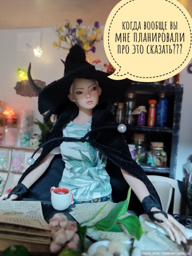 Ведьмолавка. Часть 24: переезд и неожиданная новость