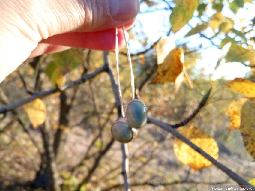 31 января - День Ювелира — Другие хобби и увлечения: сад (фото 7)