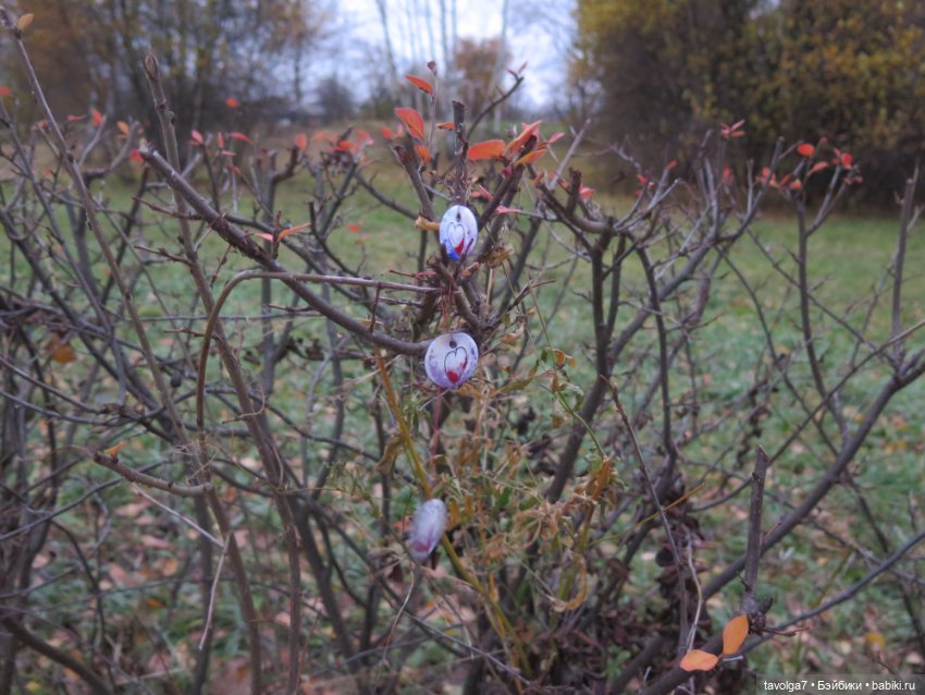 31 января - День Ювелира — Другие хобби и увлечения: сад